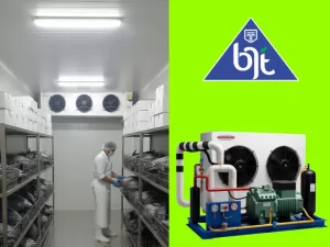 Pembekuan Udang Beku (Frozen Shrimp) dengan Cold Storage Freezer BJT